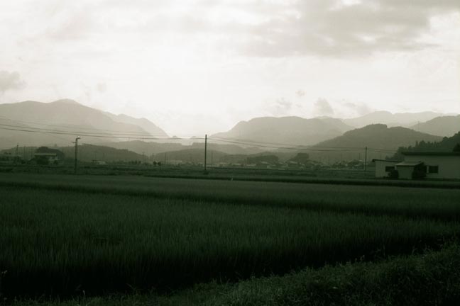 kora_view