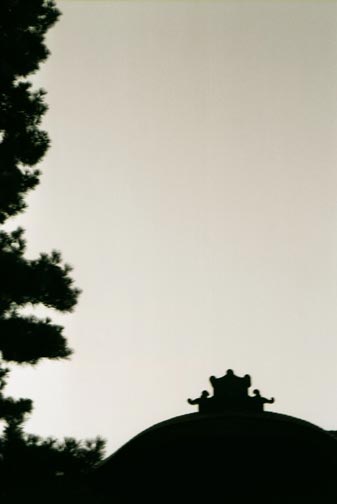 sillhouette